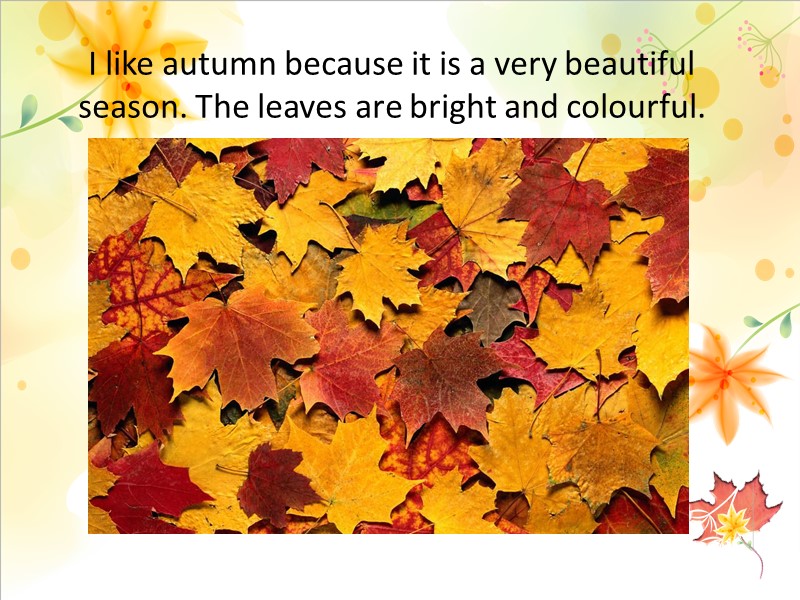 I like autumn because it is a very beautiful season. The leaves are bright